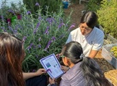 Pérdida de la visión periférica. Fotografía tomada por Mónica A. Olea Amezcua y Claudia Mancilla Simbro, en el JARDÍN SENSORIAL: INCLUSIÓN Y BIENESTAR PARA TODOS DE LA MANO DE LA BUAP/ VIEP BUAP # 24016 BIOINFORMÁTICA INCLUSIVA: DISCAPACIDAD VISUAL, del HybridLab.Fisiología y Biología Molecular de Células Excitables - Instituto de Fisiología. Benemérita Universidad Autónoma de Puebla, Puebla México.