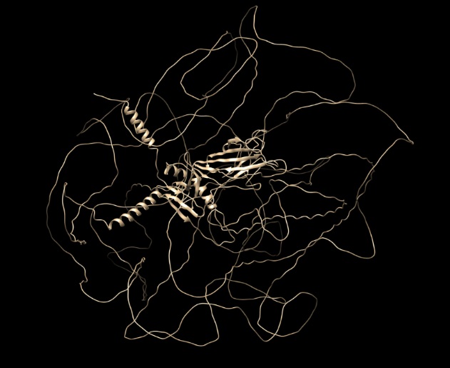 Predicción estructural de la proteína COL2A1 humana generada por AlphaFold y visualizada en UCSF Chimera (AlphaFold Protein Structure Database, 2023). Imagen generada por: Nadia María Sánchez Popoca, Cynthia Ramírez Xicohténcatl, Karla Inés León Vargas, Christian Rubén Romero Velázquez, Alberto Ramírez Mata, Laura G. Hernández-Aragón, Verónica Cepeda Cornejo y Claudia Mancilla-Simbro.