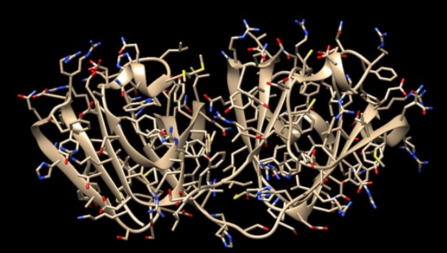 Estructura de α-cristalina D. Imagen elaborada por: Edgar Baltazar-Zúñiga, Jesús Ramon Alor Garcia, Cristian Ulises Diaz Tocuhua, Lesly Guzmán Vargas, Alberto Ramírez Mata, Laura Guadalupe Hernández Aragón y Claudia Mancilla-Simbro.