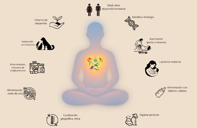 Factores que influyen en la composición de la microbiota y microbioma.  Descripción gráfica de los  factores que influyen en la composición de la microbiota y microbioma de cada individuo. Autora: LBT Karla Victoria Mora Blas, Facultad de Ciencias Biológicas, Benemérita Universidad Autónoma de Puebla, México. Diciembre 2025.
